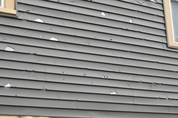 Professional Siding Installation in Bylas, AZ