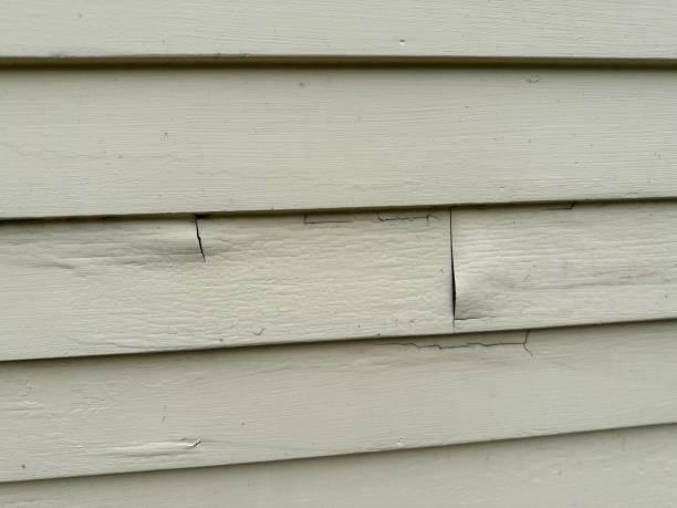 Best Storm Damage Siding Repair  in Bylas, AZ